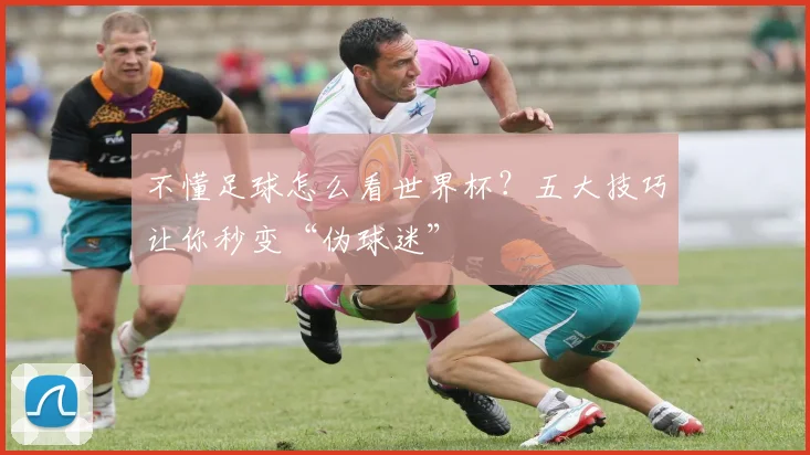 不懂足球怎么看世界杯？五大技巧让你秒变“伪球迷”