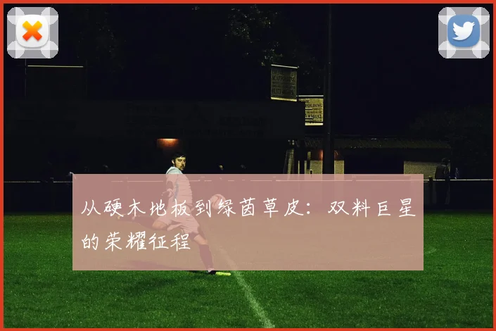 从硬木地板到绿茵草皮：双料巨星的荣耀征程